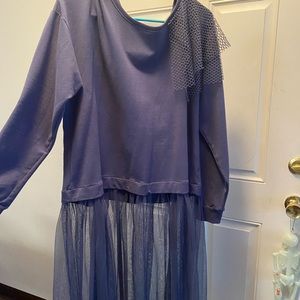 Lane Bryant sweater/tule dress. Super cute.